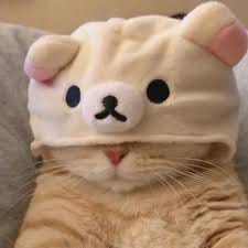 Hoàng Văn Nghĩa avatar