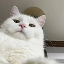 Nguyễn Thị Hương